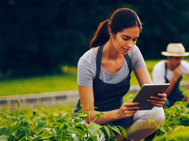 Leading Sustainable Change in the Intelligence Age