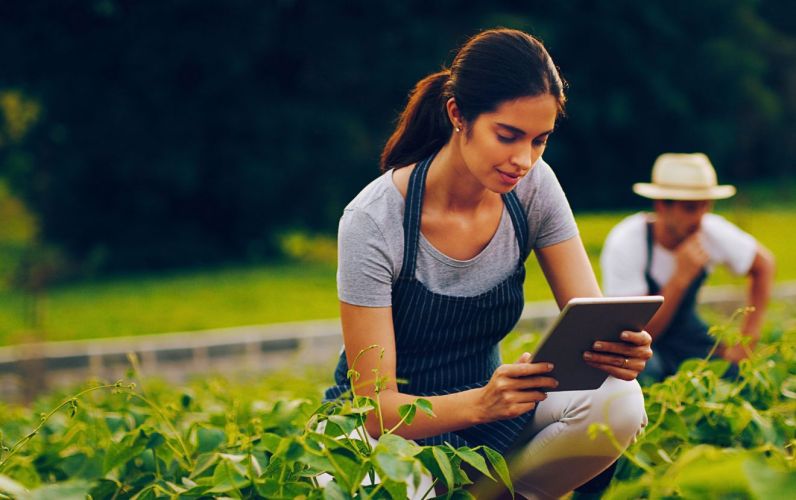 Leading Sustainable Change in the Intelligence Age