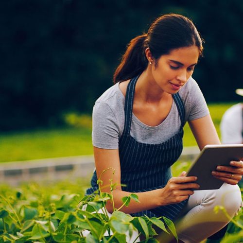 Leading Sustainable Change in the Intelligence Age