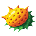 Kiwano Marketing KIWANO MARKETING